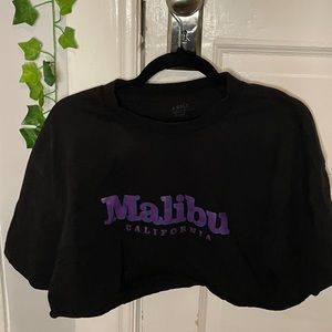 Brandy Melville Malibu Crop Top